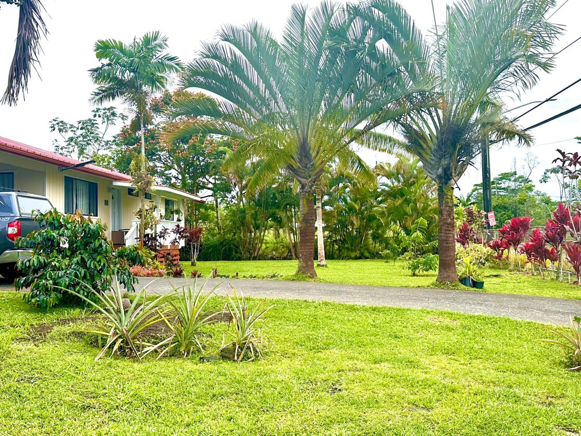 Big Island Getaway Séjour chez l'habitant *